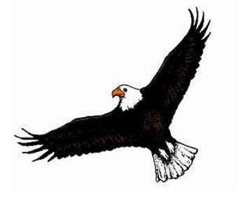 PEC logo